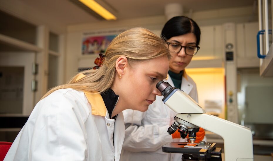 Fler forskar för bättre tandvård